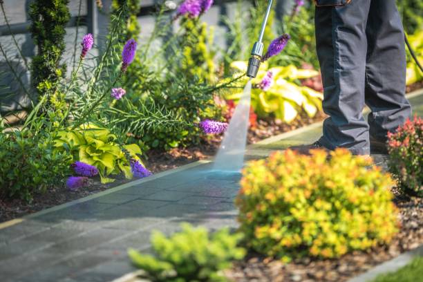 Best Restaurant Pressure Washing  in Delphi, IN